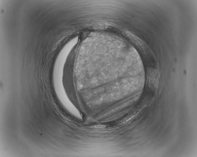 X0000085750501200704131715