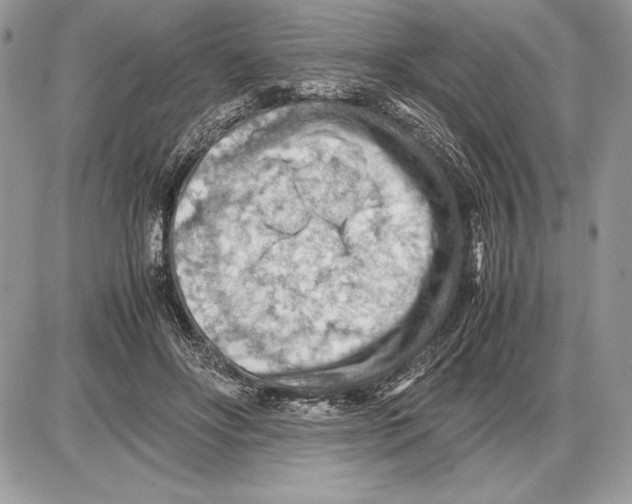 X0000085750502200704131715