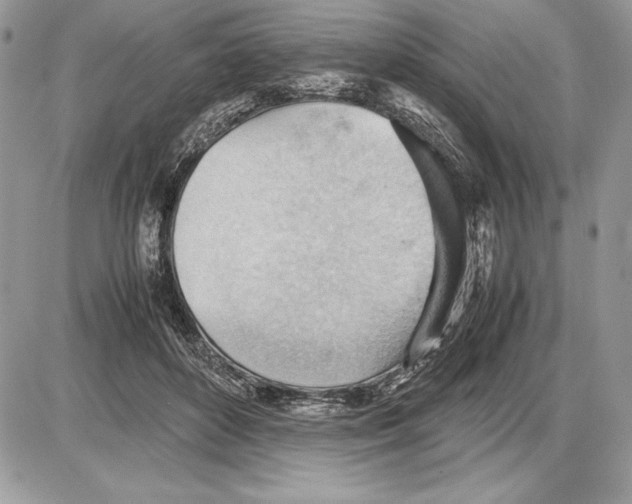 X0000085750504200704131715