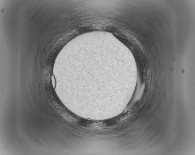 X0000085750505200704131715