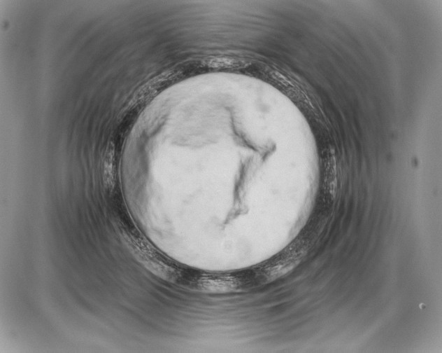 X0000085750510200704131715