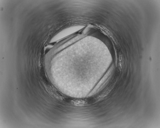 X0000085750512200704131715