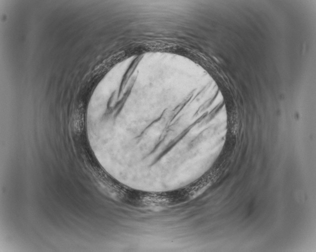 X0000085750515200704131715