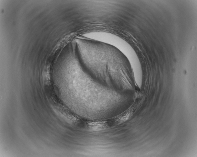 X0000085750516200704131715