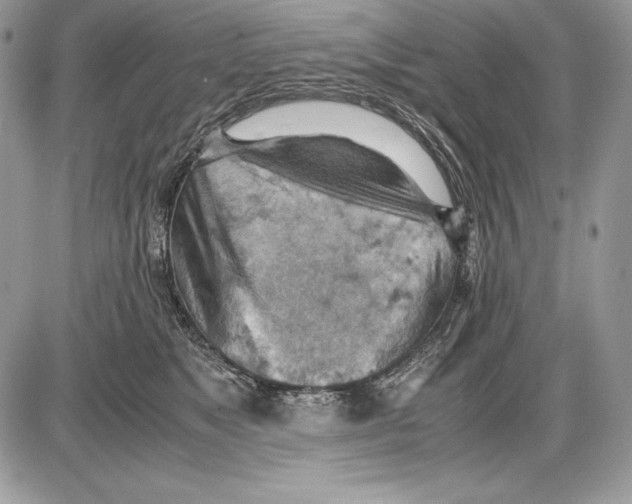 X0000085750517200704131715