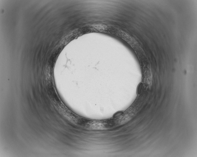 X0000085750518200704131715