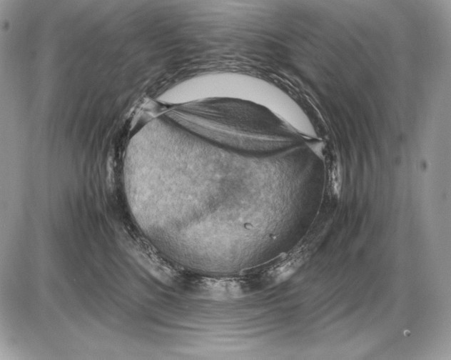 X0000085750520200704131715