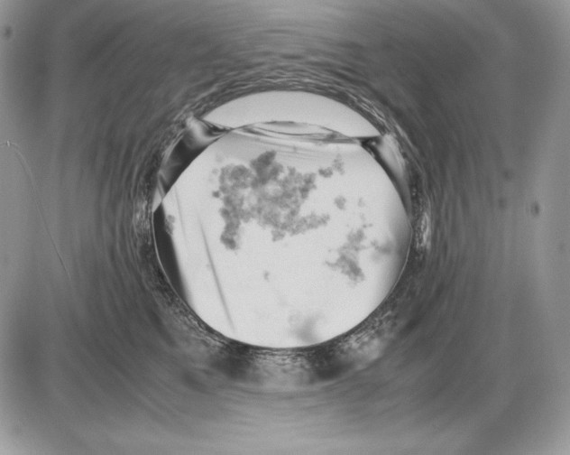 X0000085750521200704131715