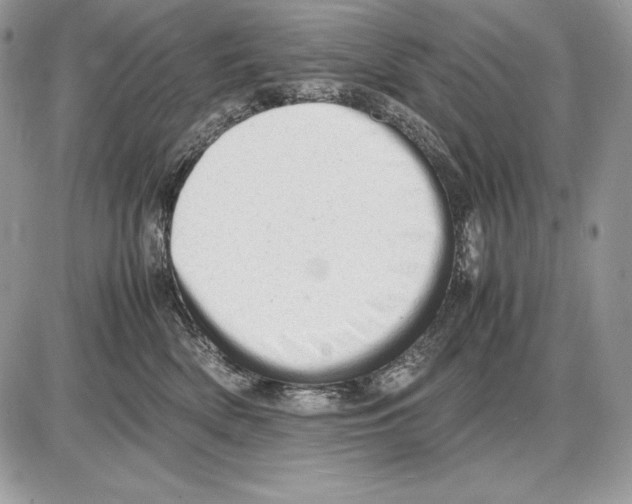 X0000085750522200704131715