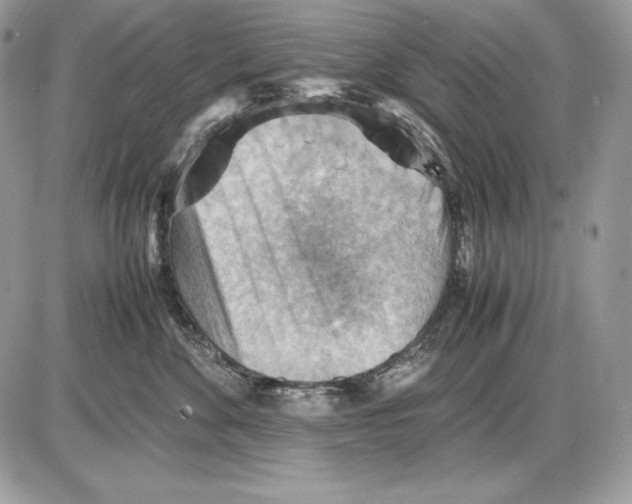 X0000085750524200704131714