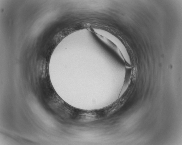 X0000085750525200704131714