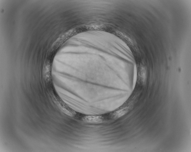 X0000085750526200704131714