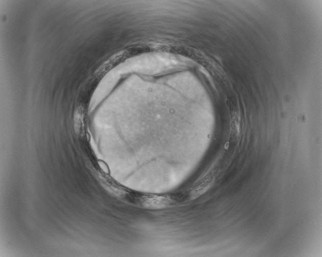 X0000085750527200704131714