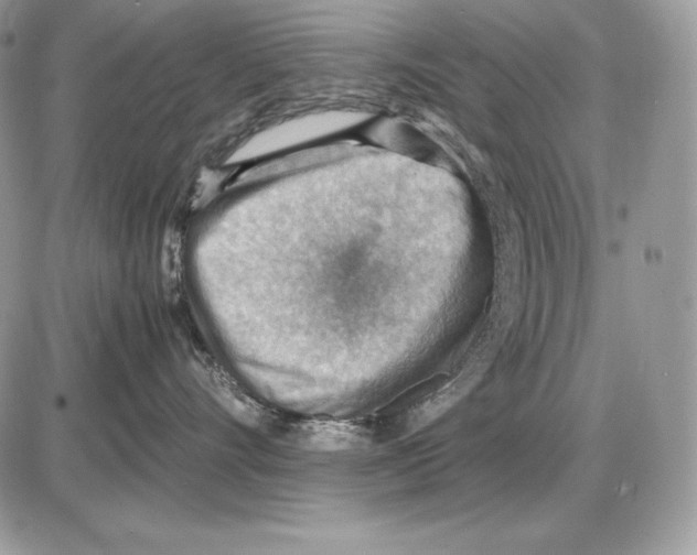 X0000085750528200704131714