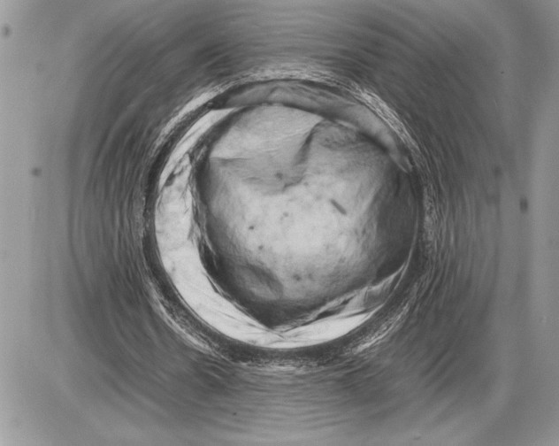 X0000085750530200704131714