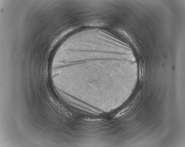 X0000085750531200704131714