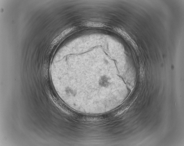 X0000085750533200704131714