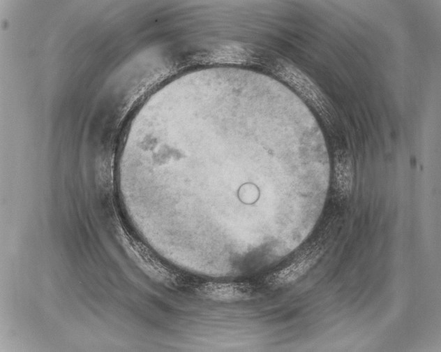 X0000085750534200704131714