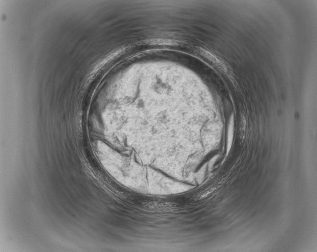 X0000085750535200704131714