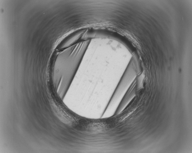 X0000085750536200704131714