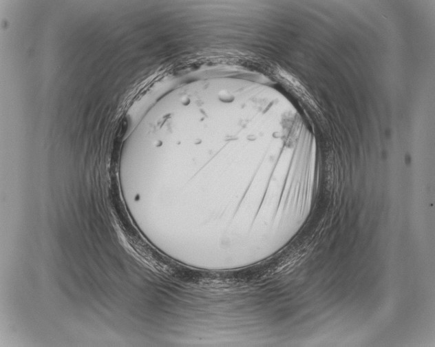 X0000085750538200704131714