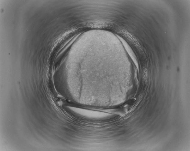 X0000085750540200704131714