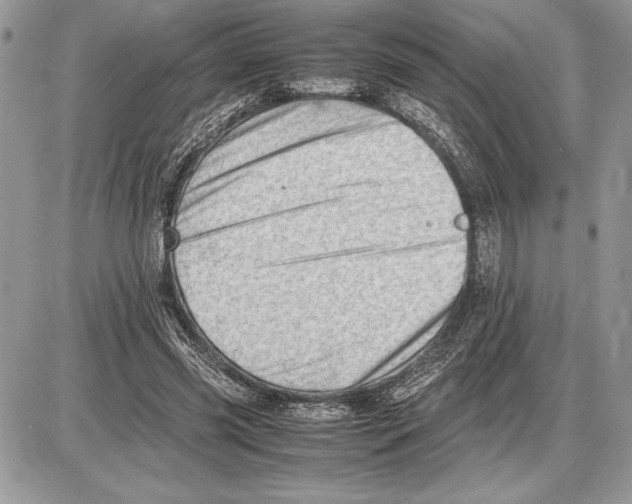 X0000085750541200704131714