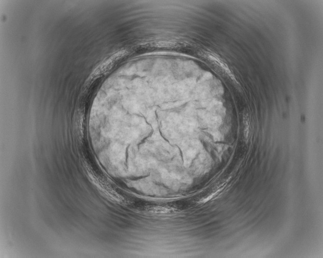 X0000085750542200704131714