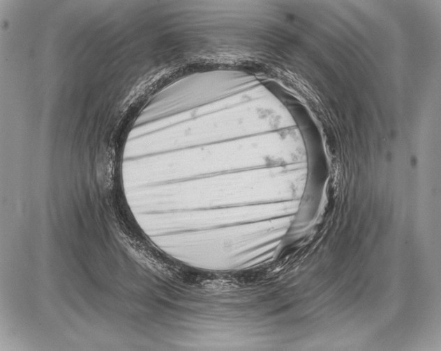 X0000085750544200704131714