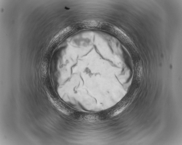 X0000085750546200704131714