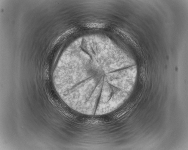 X0000085750547200704131714