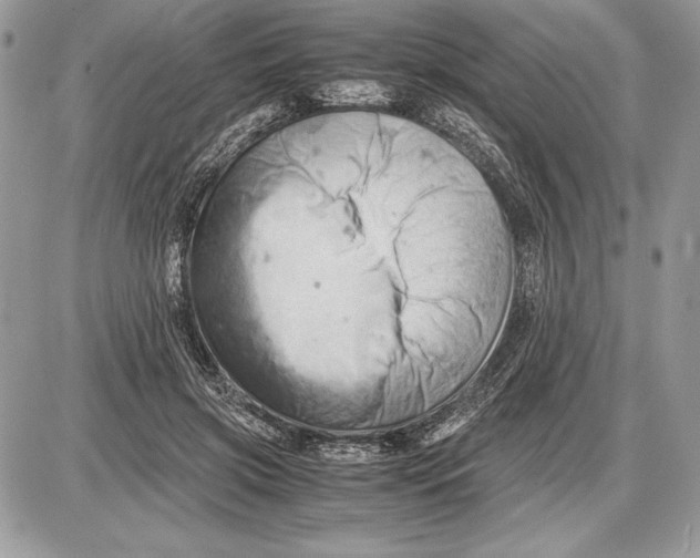 X0000085750549200704131714