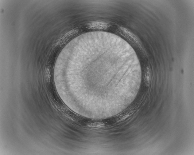 X0000085750551200704131714