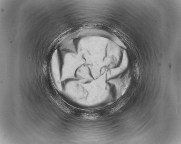 X0000085750556200704131714