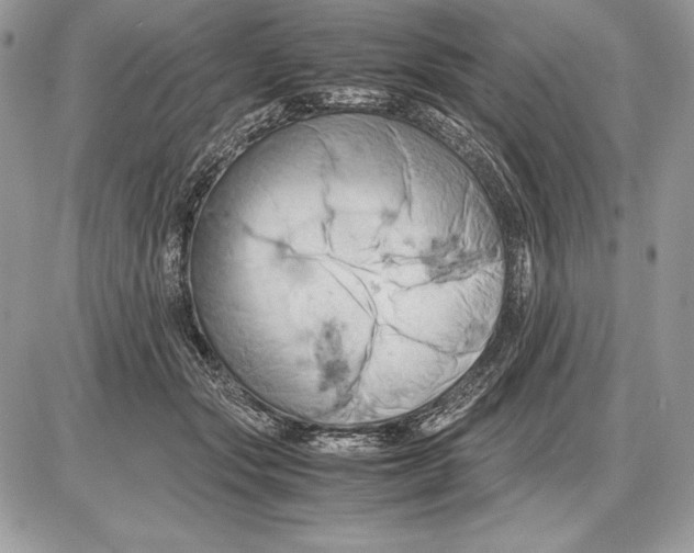 X0000085750557200704131714