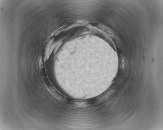 X0000085750560200704131714