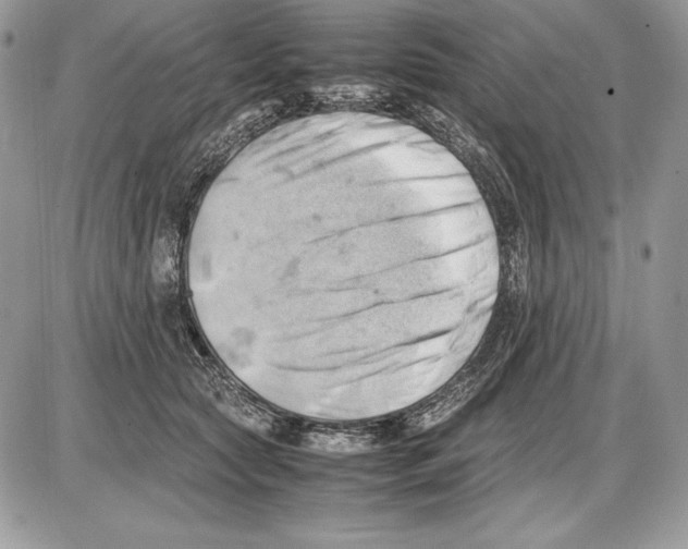 X0000085750561200704131714