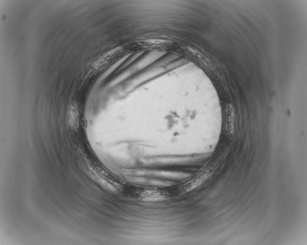 X0000085750562200704131714