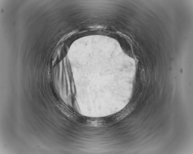 X0000085750564200704131714