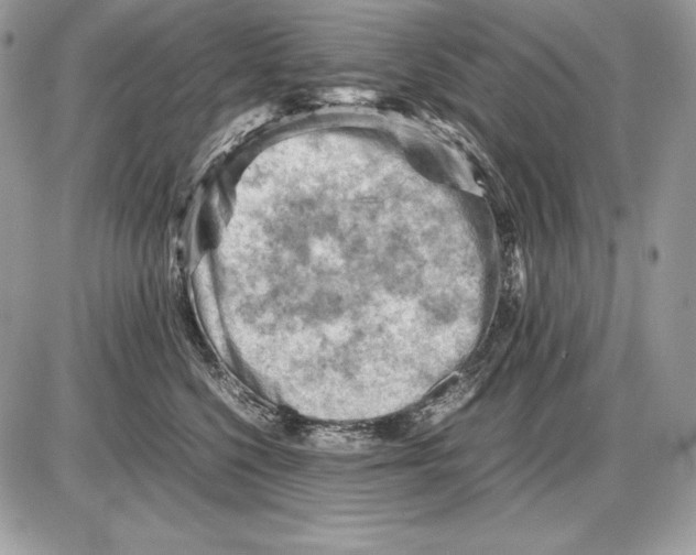 X0000085750568200704131714