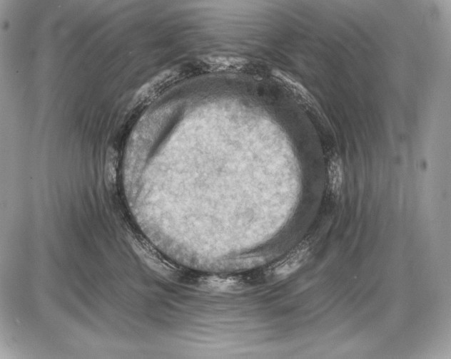 X0000085750570200704131714