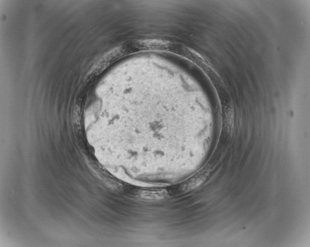 X0000085750571200704131714