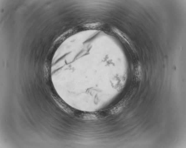 X0000085750572200704131714