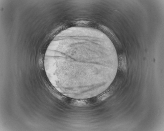 X0000085750573200704131714