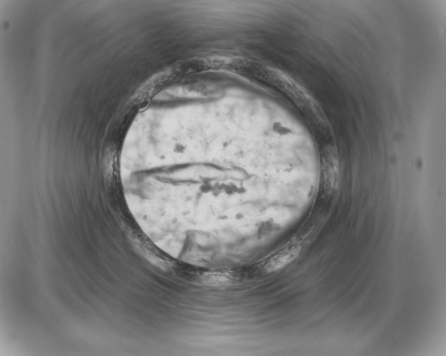 X0000085750574200704131714