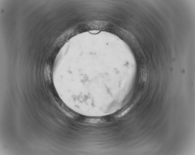 X0000085750575200704131714