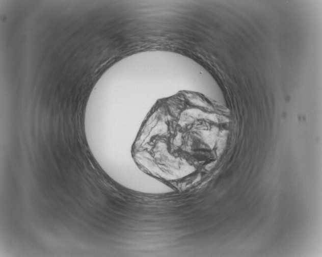 X0000085750576200704131714