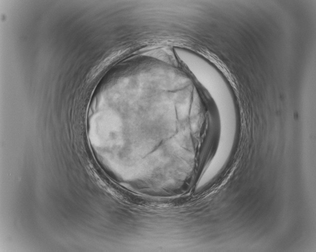 X0000085750577200704131714