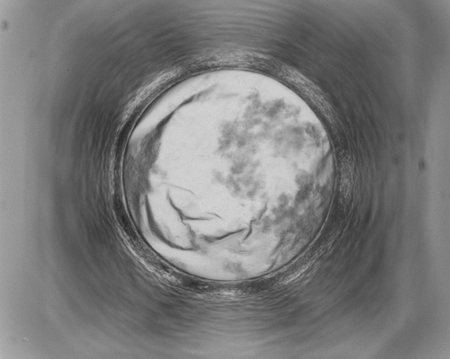 X0000085750578200704131714