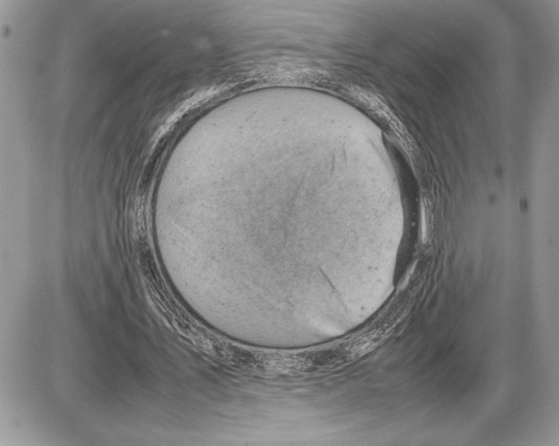 X0000085750579200704131713